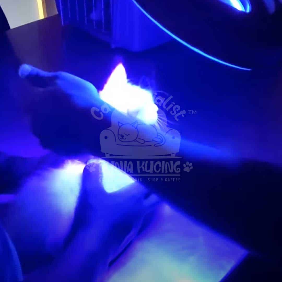 Diagnosa Woodlamp Test